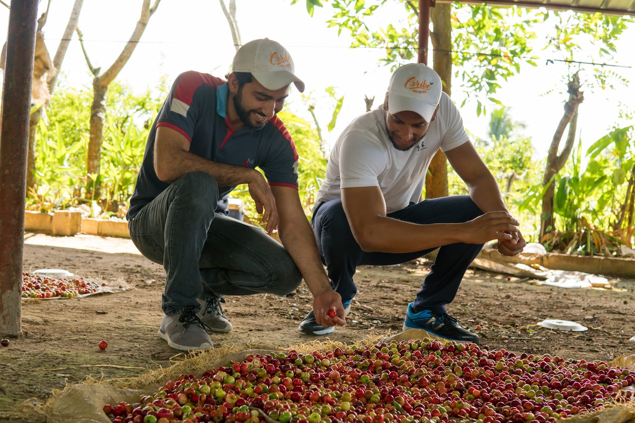 Luis sourcing ingredients